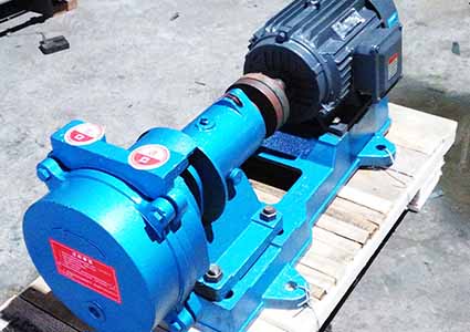 water ring vacuum pump